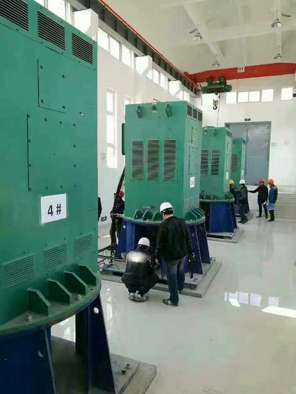 山亭某污水处理厂使用我厂的立式高压电机安装现场生产厂家